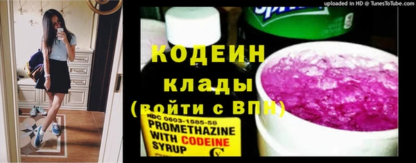 индика Мегион