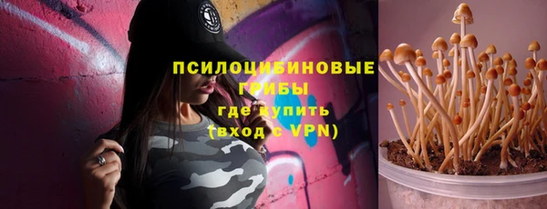 СК Михайлов
