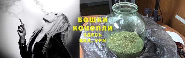 альфа пвп Медвежьегорск