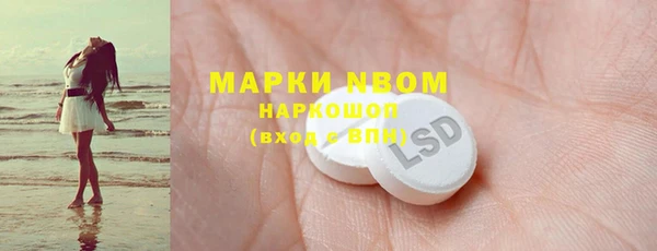 индика Мегион