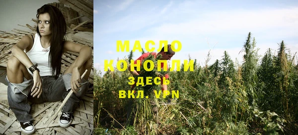 индика Мегион