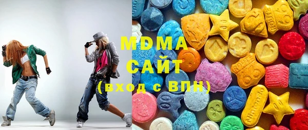 индика Мегион