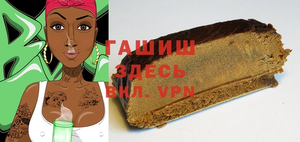 индика Мегион