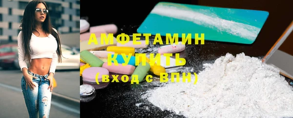 индика Мегион