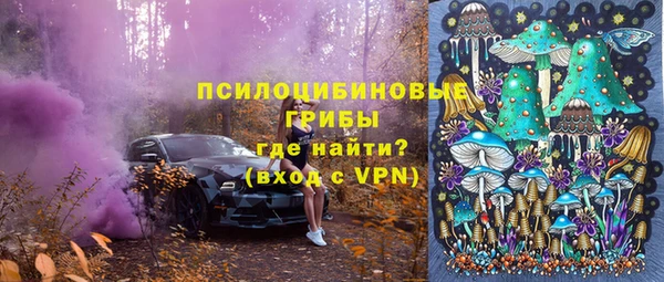 индика Мегион