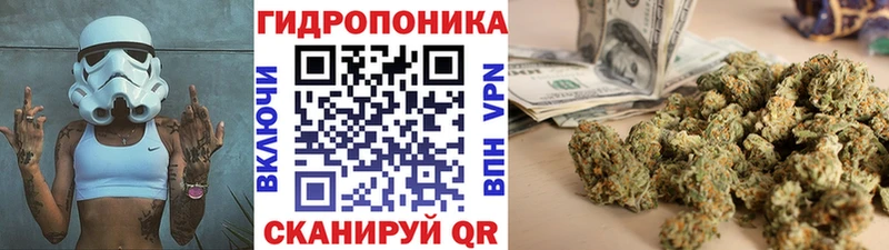 Бошки марихуана OG Kush Тайшет